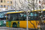 چند قدم مانده تا بهار