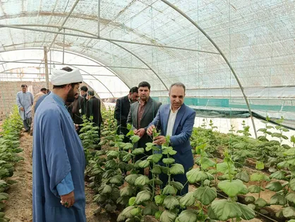 افتتاح ۲۳۸ واحد گلخانه صنعتی و خانگی باهدف بهره&zwnj;وری صحیح آب و تغییر الگوی کشت در شهرستان زهک
