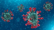 منشا ویروس کرونا از نظر جامعه اطلاعاتی آمریکا