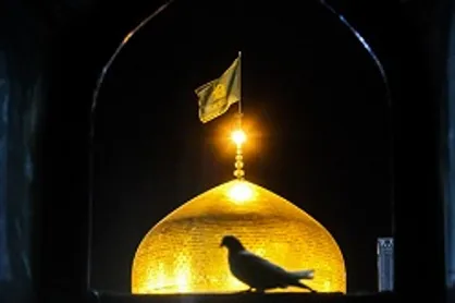 ضامن آهو کودک ۷ ساله سرطانی را طلبید