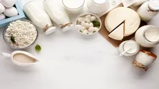 کاهش ۴۰ درصدی خرید لبنیات بعد از اصلاح نرخ ارز واقعیت ندارد