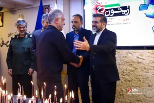زیتون سبز