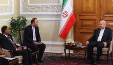 رئیس مجلس با وزیر خارجه مالزی دیدار کرد