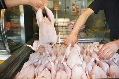 گوشت&zwnj; مرغ&zwnj;ها دارای هورمون است؟