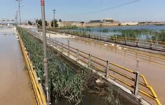 شفاف‌سازی‌های لازم در مورد اجرایی شدن طرح ملی جاده ساحلی اهواز به ملاثانی صورت گیرد