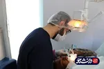 اردوی جهادی بسیج دانشجویی علوم پزشکی هرمزگان