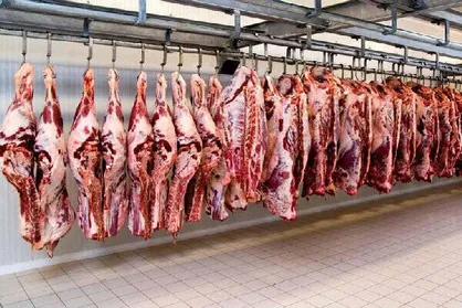 توزیع گوشت&zwnj;های عاری از بیماری در میادین میوه و تره بار شهرداری تهران/ خط قرمز ما سلامت مردم است