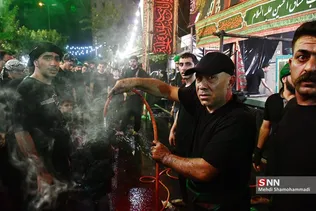 دبب
