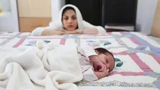 آیا نوزدان جنگ را حس می‌کنند؟