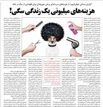 هزینه&zwnj;&zwnj;های میلیونی یک زندگی سگی!