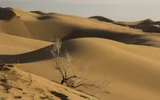 گردشگری کویر در کشور رونق می‌گیرد / دعوت از کویرگردهای خارجی