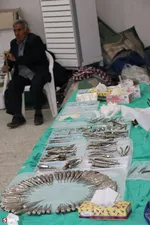 اردوی جهادی