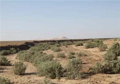 بیابان سرخس با کاشت درختان آباد می&zwnj;شود/ کنترل ریزگرد&zwnj;ها با مطالعات ۲۱۰ هزار هکتار اراضی سرخس