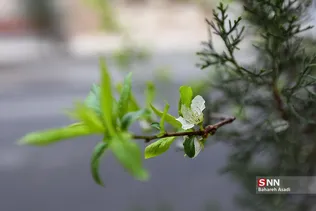 چند قدم مانده تا بهار