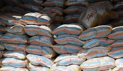 کشاورز: برنج&zwnj;های دپو شده در گمرکات از اول آذر ترخیص می&zwnj;شوند