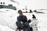 دبب