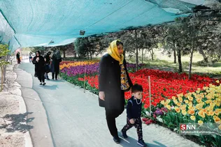 فصل بهار و میهمانی لاله ها