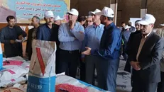 رونمایی از چهار رقم جدید بذر هیبریدی در کشت و صنعت جوین