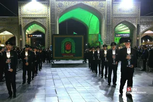 دبب