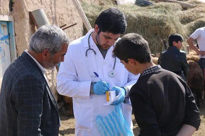 ۱۰۰۰ دام سبک و سنگین در روستا&zwnj;های مرزی شهرستان سلماس غربالگری شد