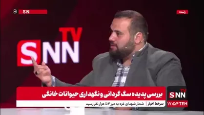 عبدالحمیدی: محبت افراطی به سگ ها به یک اعتیاد در جامعه تبدیل شده