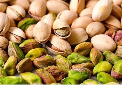 ۵ درصد از پسته ایران به اتحادیه اروپا صادر می&zwnj;شود