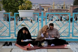 دبب