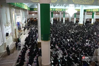 دبب
