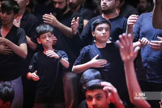 دبب