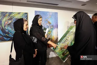دبب