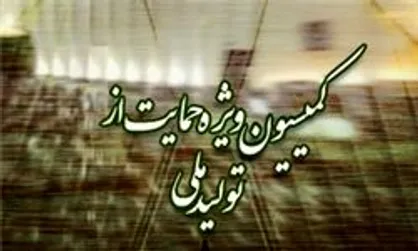 بررسی لایحه بودجه سال ۹۹ در کمیسیون ویژه حمایت از تولید ملی