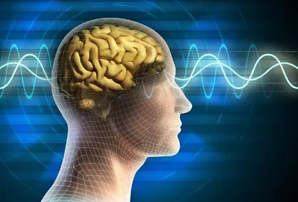 نقشه راه توسعه واسط&zwnj;های مغز و رایانه در کشور تدوین شد