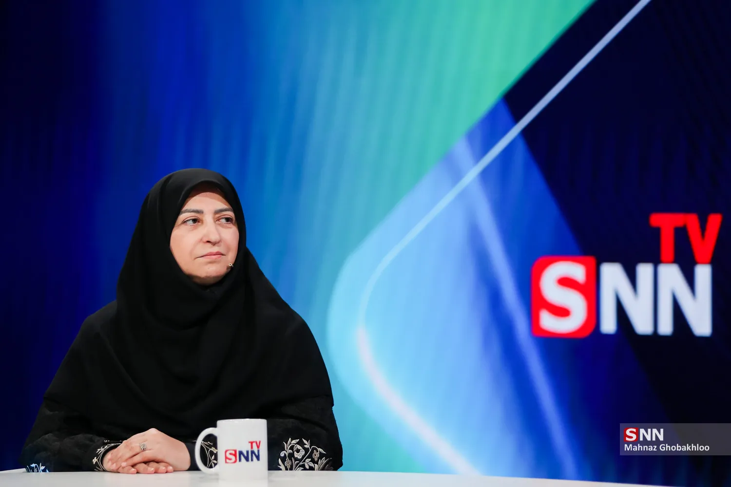 انصاری: زه‌کشی در تالاب صالحیه یکی از عوامل خشک شدن آن بوده است + فیلم
