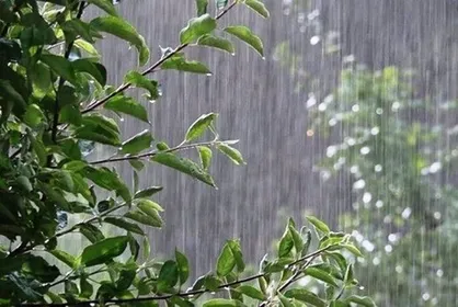 فیروزکوه، پربارش&zwnj;ترین ایستگاه هواشناسی تهران