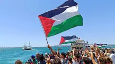 نظرسنجی گالوپ: آمریکایی‌ها بیشتر با فلسطینی‌ها همدل شدند تا اسرائیل