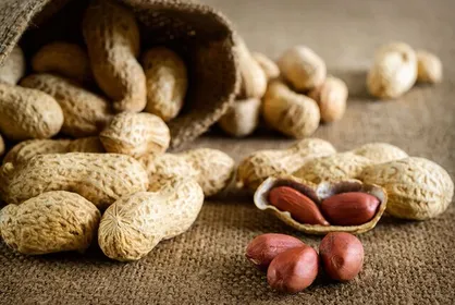 بادام&zwnj;زمینی روند پیری را آهسته می&zwnj;کند