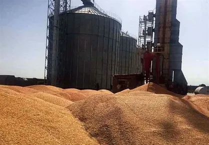 معطلی یک میلیون تن غلات در بنادر ایران