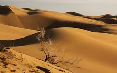۱۵ میلیون هکتار از بیابان‌های کشور منشأ گرد و غبار هستند