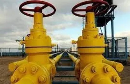 سیاستمدار آلمانی: قرارداد ال ان جی با قطر تنها معادل ۳ درصد مصرف آلمان است