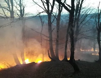 دانشجویان جهادگر در صورت بروز دوباره آتش&lrm;&zwnj;سوزی در جنگل&zwnj;های تالش آماده خدمت&zwnj;رسانی هستند