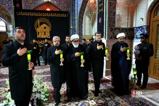 دبب
