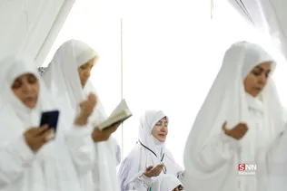 دبب