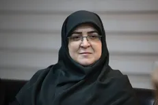 مهاجرانی: تفویض اختیار به استانداران ادامه دارد