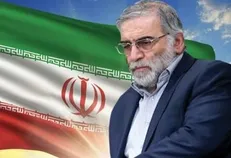 دیلی‌تایمز: قدرت بزرگ منطقه با ترور و توطئه متوقف نمی‌شود