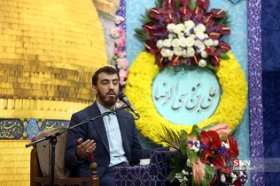 دبب