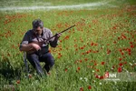 کلات