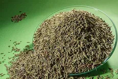 آشنایی با یک پزشک گیاهی/ با استفاده از این گیاه سلامت چشم و از بین رفتن بوی بد دهان را تضمین کنید