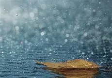 بارش باران در محور‌های ۳ استان/ ترافیک در آزادراه تهران-کرج