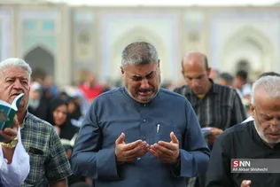 دبب
