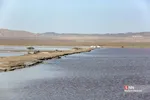 آبگیری تالاب‌ حوض سلطان قم در پی بارش‌های اخیر